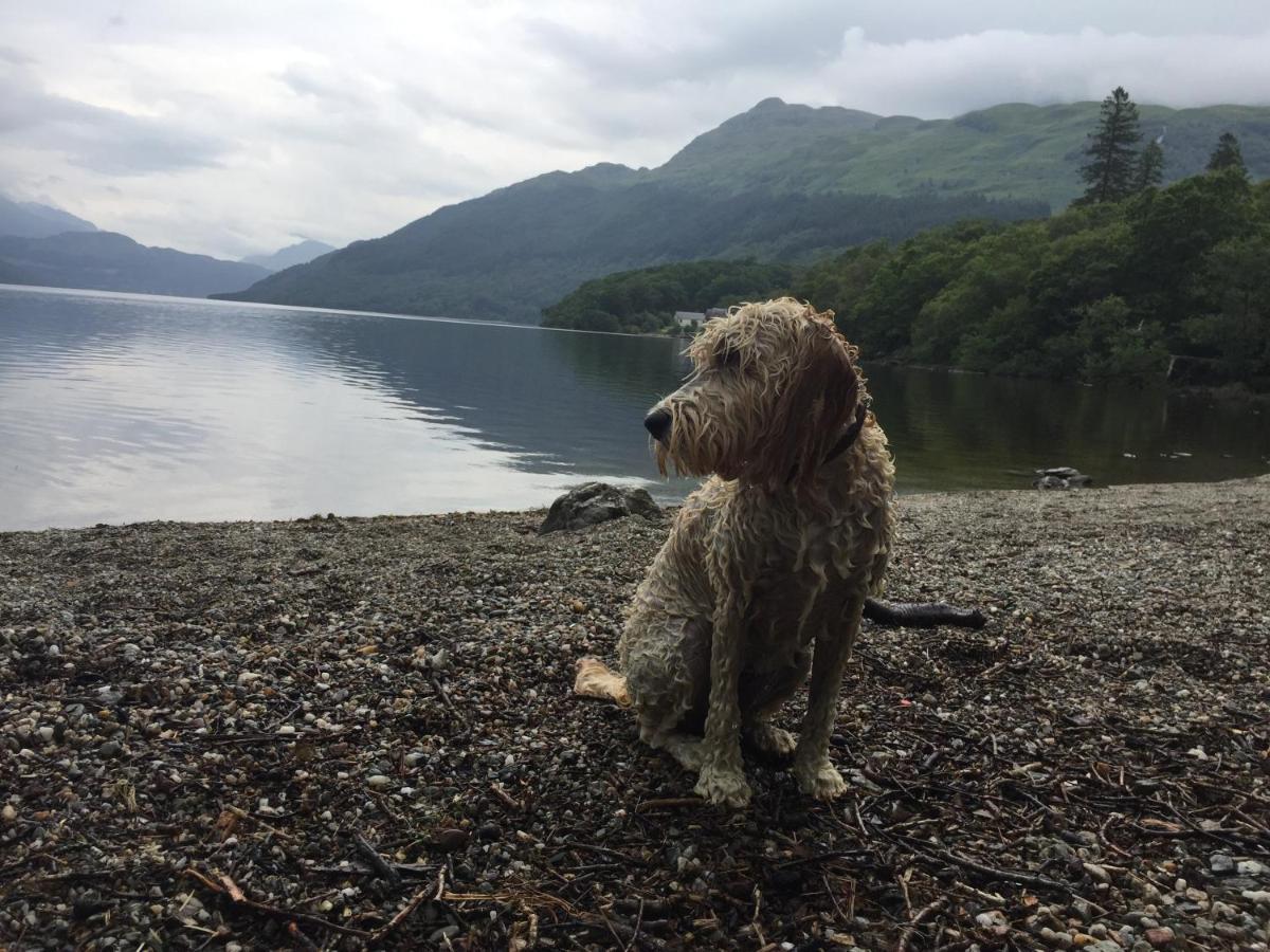 Ben Lomond Lodge Rowardennan Exteriér fotografie